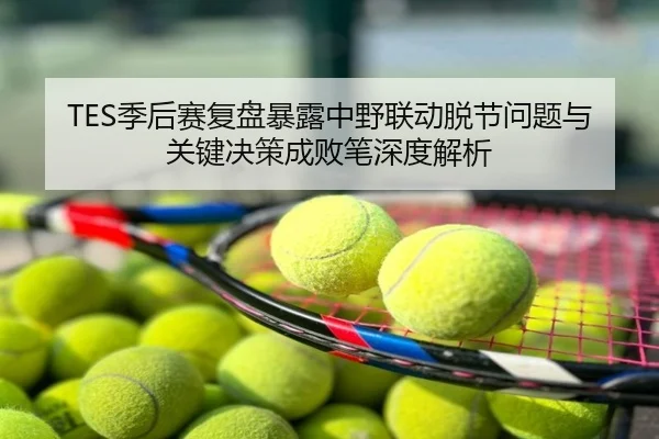 TES季后赛复盘暴露中野联动脱节问题与关键决策成败笔深度解析