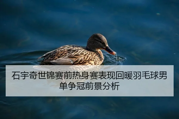 石宇奇世锦赛前热身赛表现回暖羽毛球男单争冠前景分析