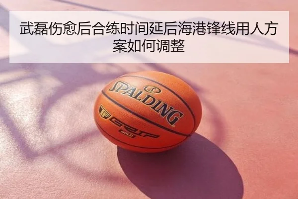 武磊伤愈后合练时间延后海港锋线用人方案如何调整