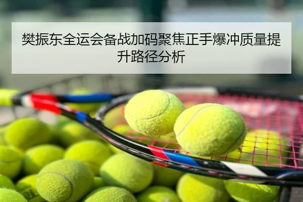 樊振东全运会备战加码聚焦正手爆冲质量提升路径分析